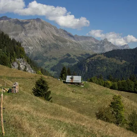 Chalet Reine Des Aravis - Isole